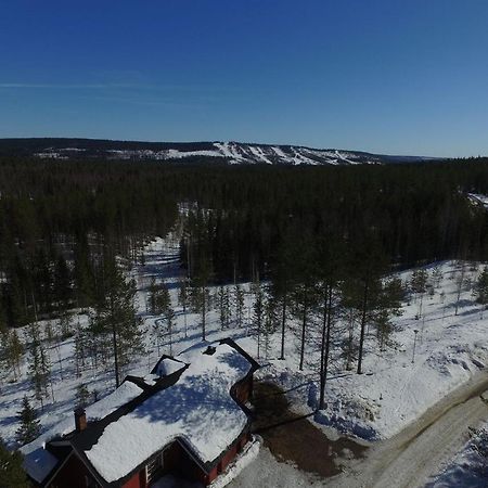 Metsorinne Kotila Экстерьер фото