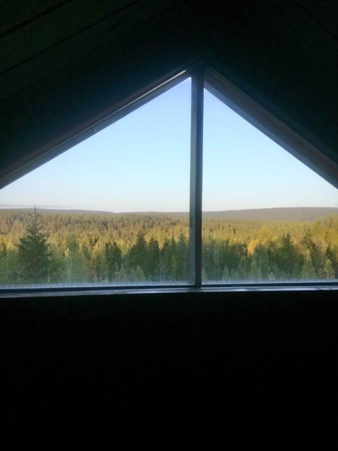 Metsorinne Kotila Экстерьер фото