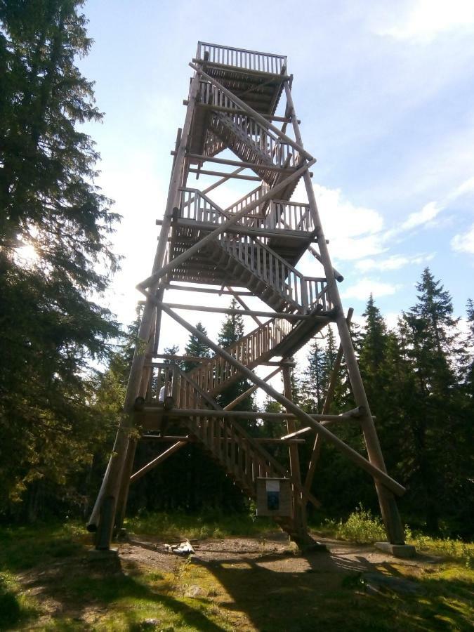 Metsorinne Kotila Экстерьер фото