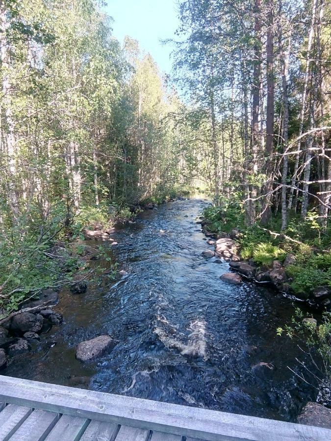 Metsorinne Kotila Экстерьер фото