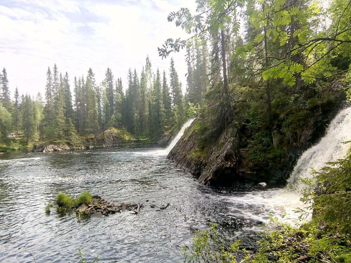 Metsorinne Kotila Экстерьер фото