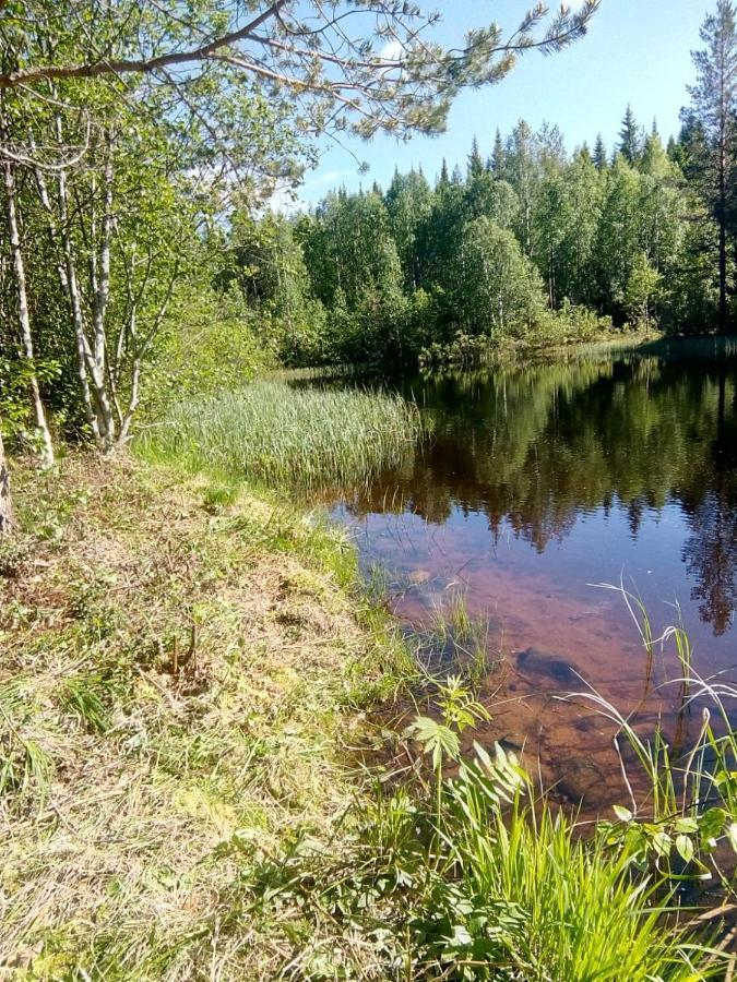Metsorinne Kotila Экстерьер фото